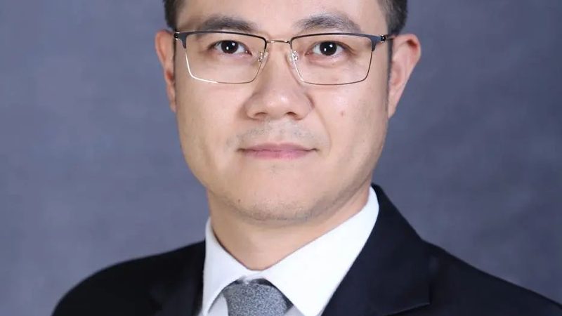 行业现状：多元化竞争下的选择难题