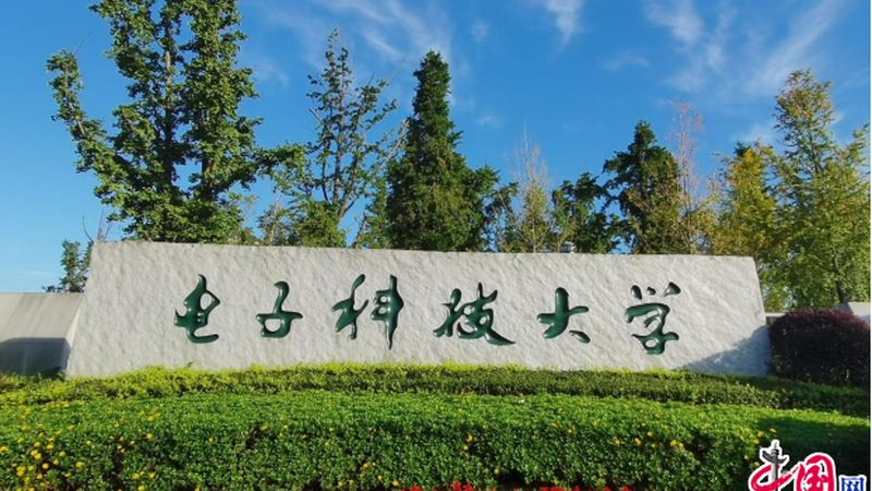 电子配件采购报价单模板：如何打造高效采购流程