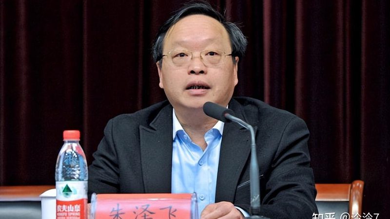 案例分析：如何避免虚标参数