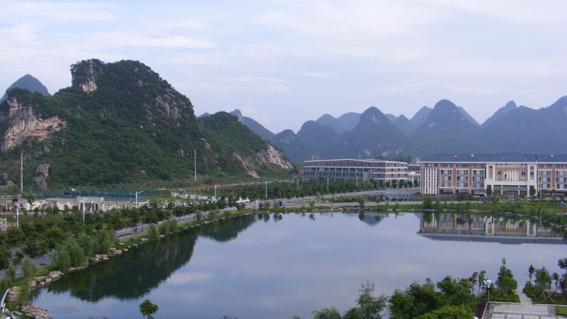 解码集成电路型号：揭秘查询技巧与要点