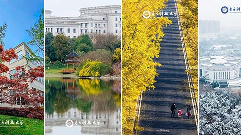 连接器定制：价格影响因素解析